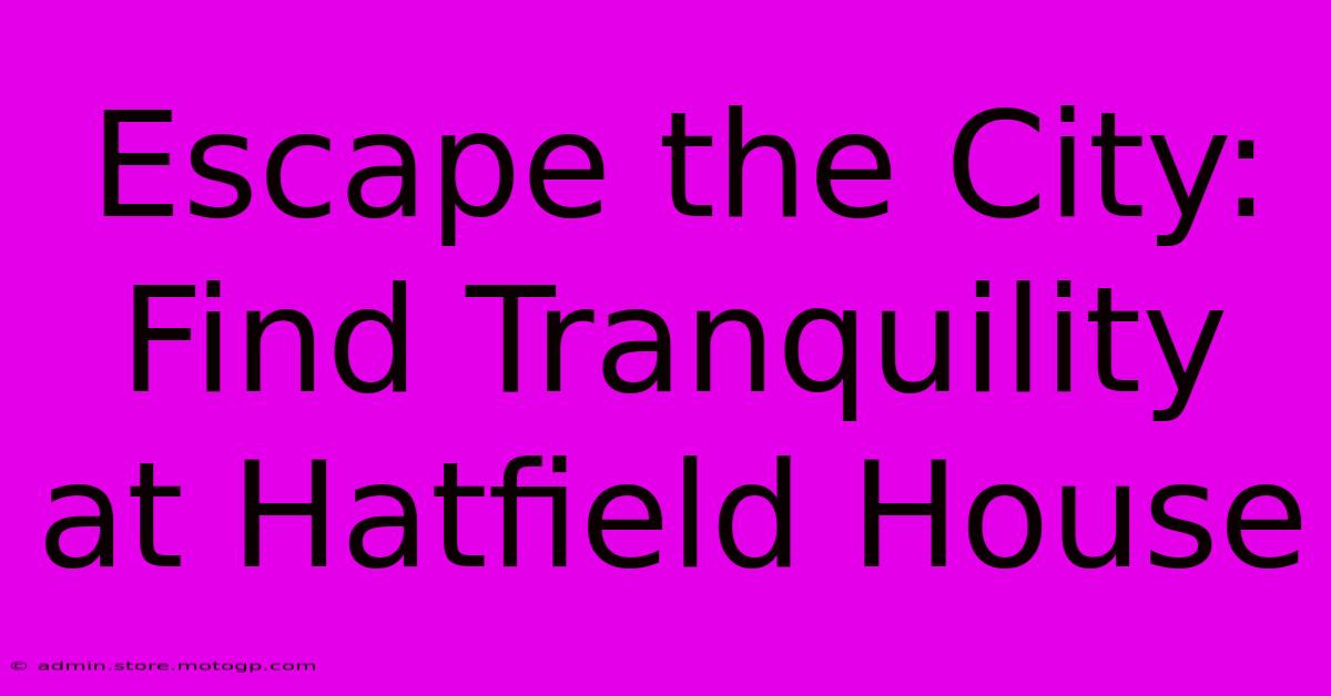 Escape The City: Find Tranquility At Hatfield House