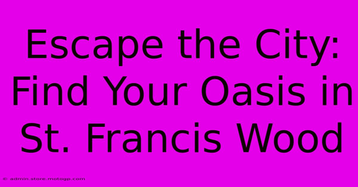 Escape The City: Find Your Oasis In St. Francis Wood