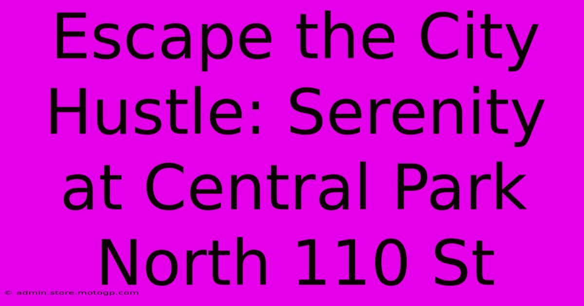 Escape The City Hustle: Serenity At Central Park North 110 St