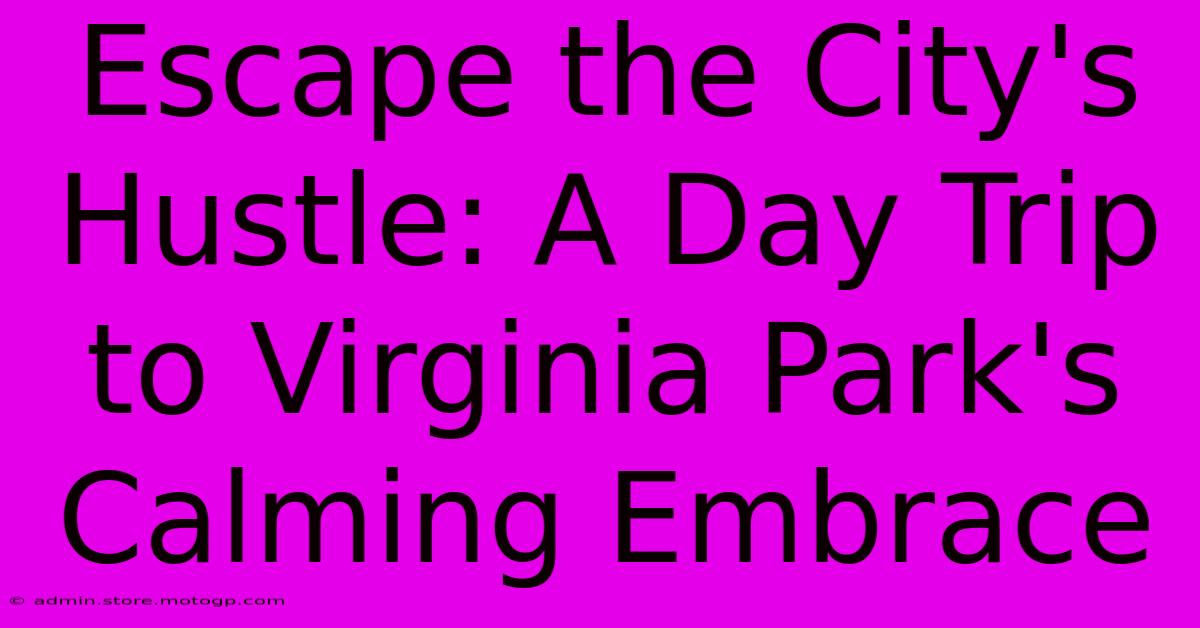 Escape The City's Hustle: A Day Trip To Virginia Park's Calming Embrace