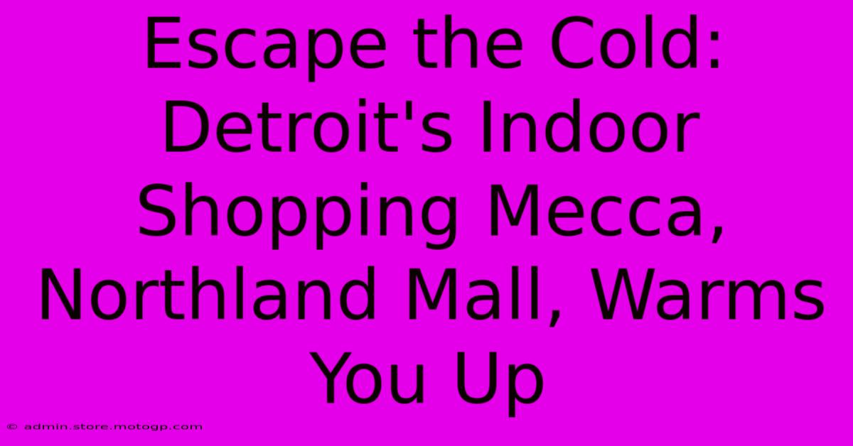 Escape The Cold: Detroit's Indoor Shopping Mecca, Northland Mall, Warms You Up