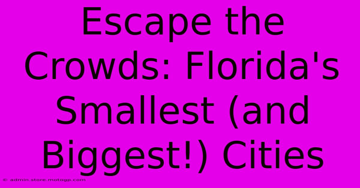 Escape The Crowds: Florida's Smallest (and Biggest!) Cities