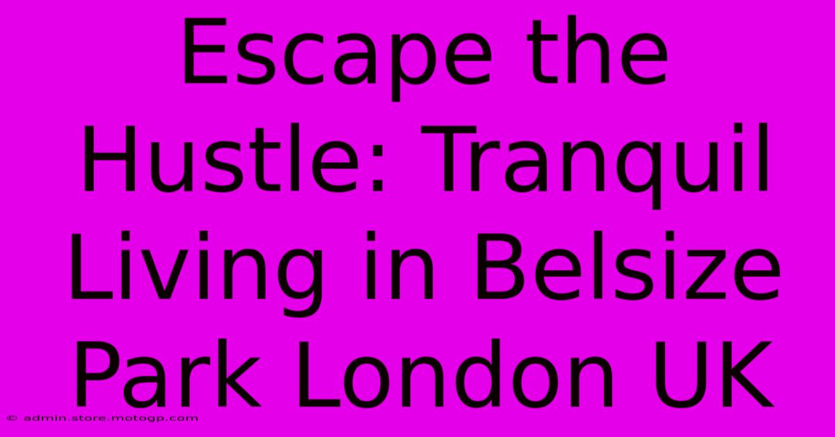 Escape The Hustle: Tranquil Living In Belsize Park London UK