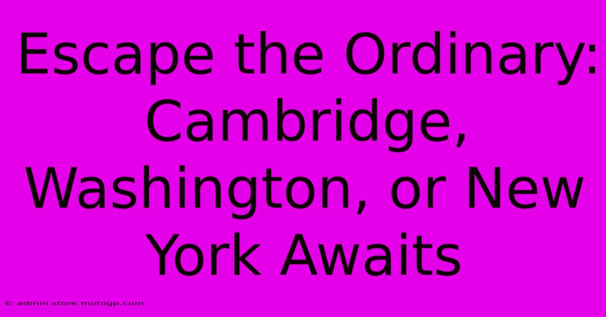 Escape The Ordinary: Cambridge, Washington, Or New York Awaits