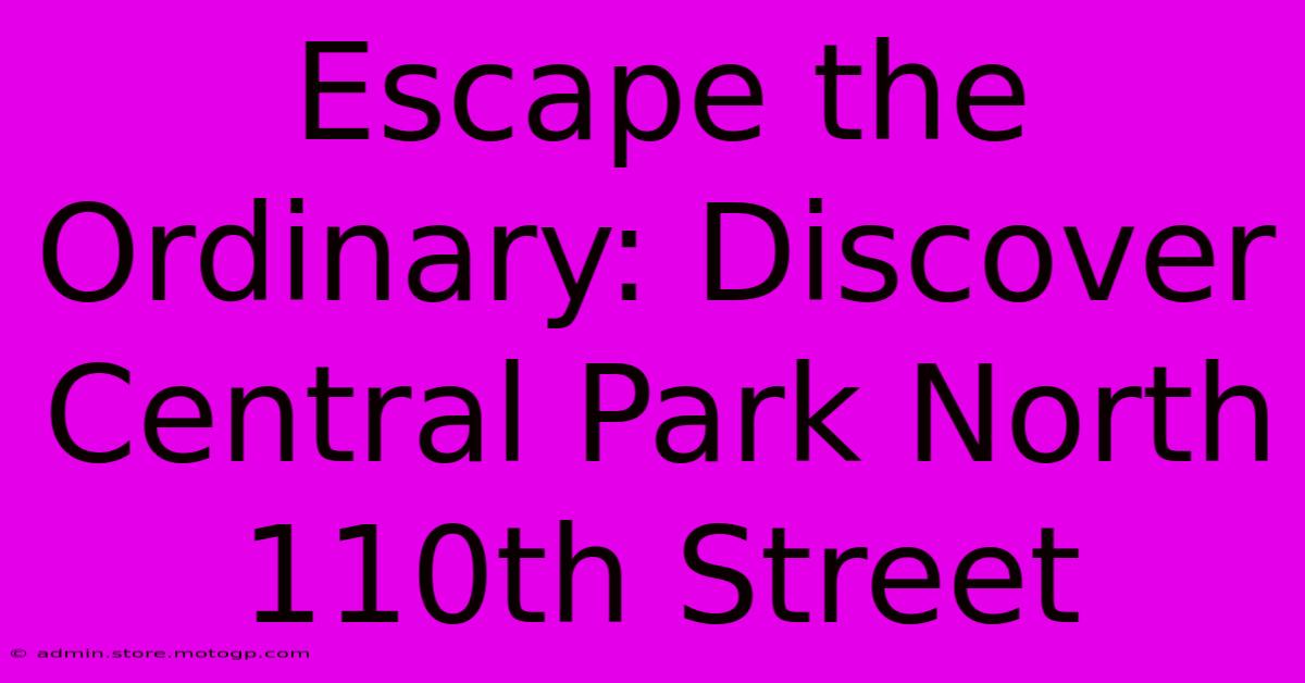 Escape The Ordinary: Discover Central Park North 110th Street