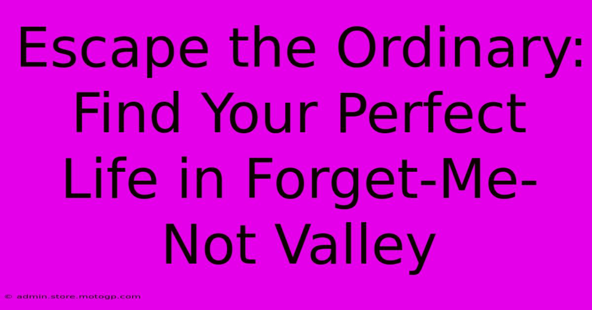 Escape The Ordinary: Find Your Perfect Life In Forget-Me-Not Valley