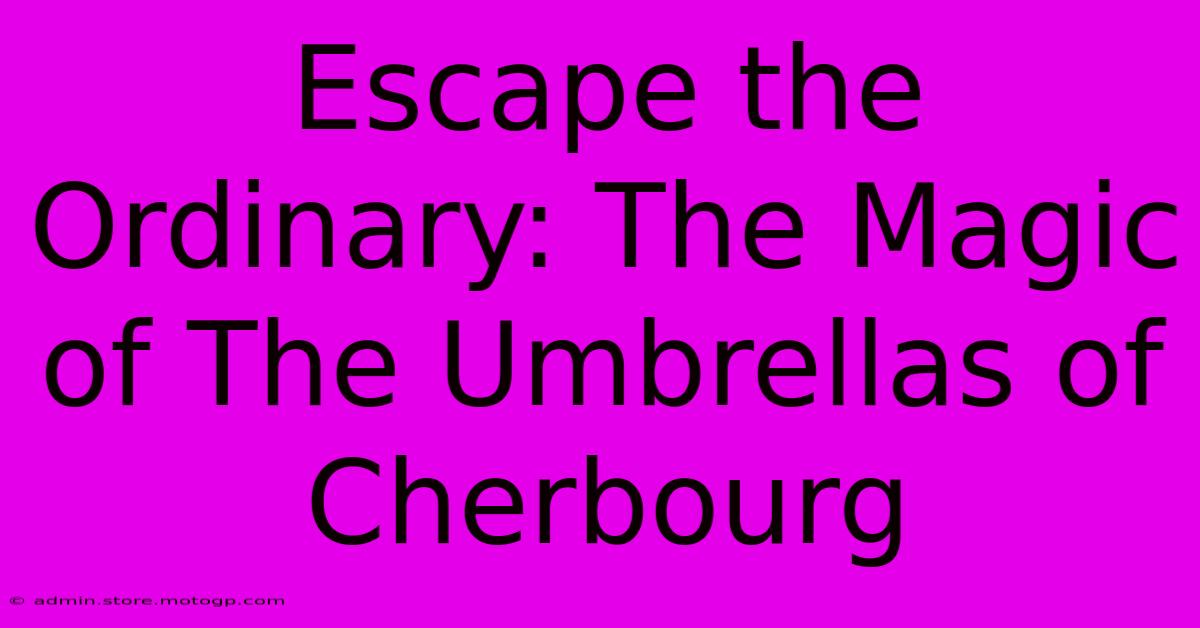 Escape The Ordinary: The Magic Of The Umbrellas Of Cherbourg