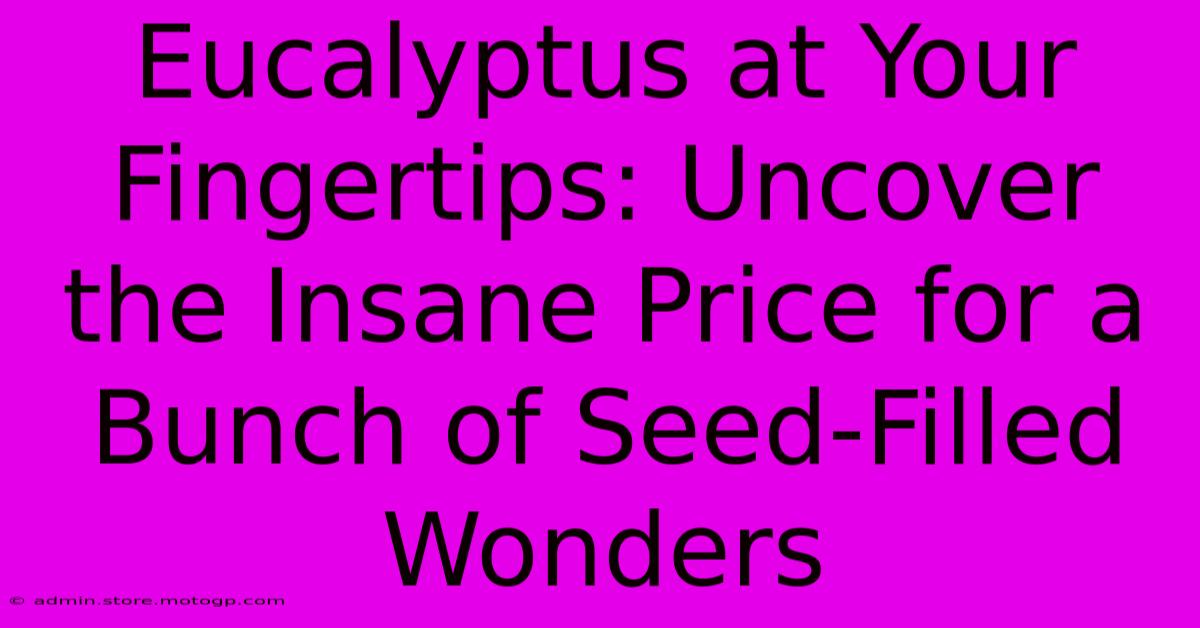 Eucalyptus At Your Fingertips: Uncover The Insane Price For A Bunch Of Seed-Filled Wonders