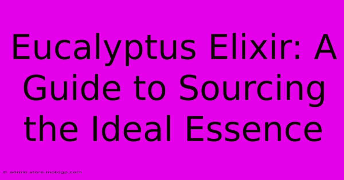 Eucalyptus Elixir: A Guide To Sourcing The Ideal Essence