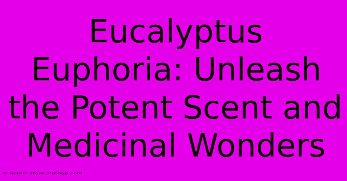 Eucalyptus Euphoria: Unleash The Potent Scent And Medicinal Wonders