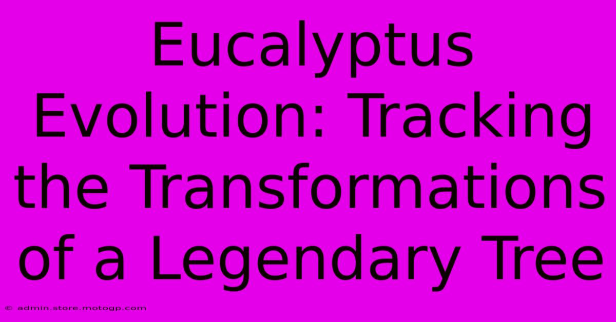 Eucalyptus Evolution: Tracking The Transformations Of A Legendary Tree