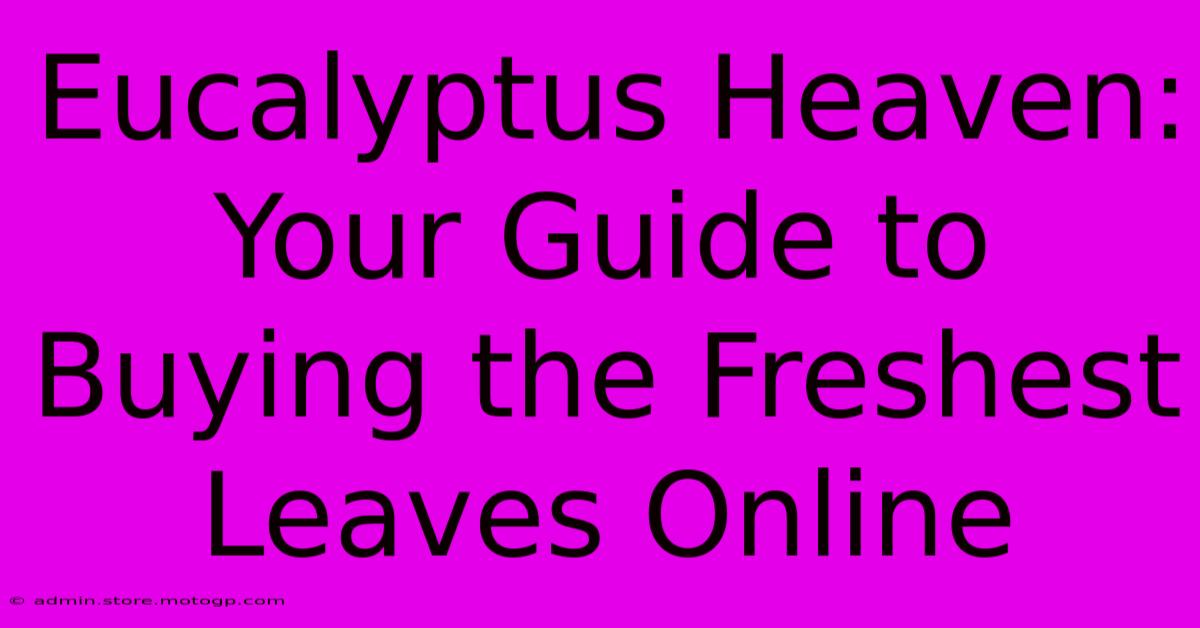 Eucalyptus Heaven: Your Guide To Buying The Freshest Leaves Online