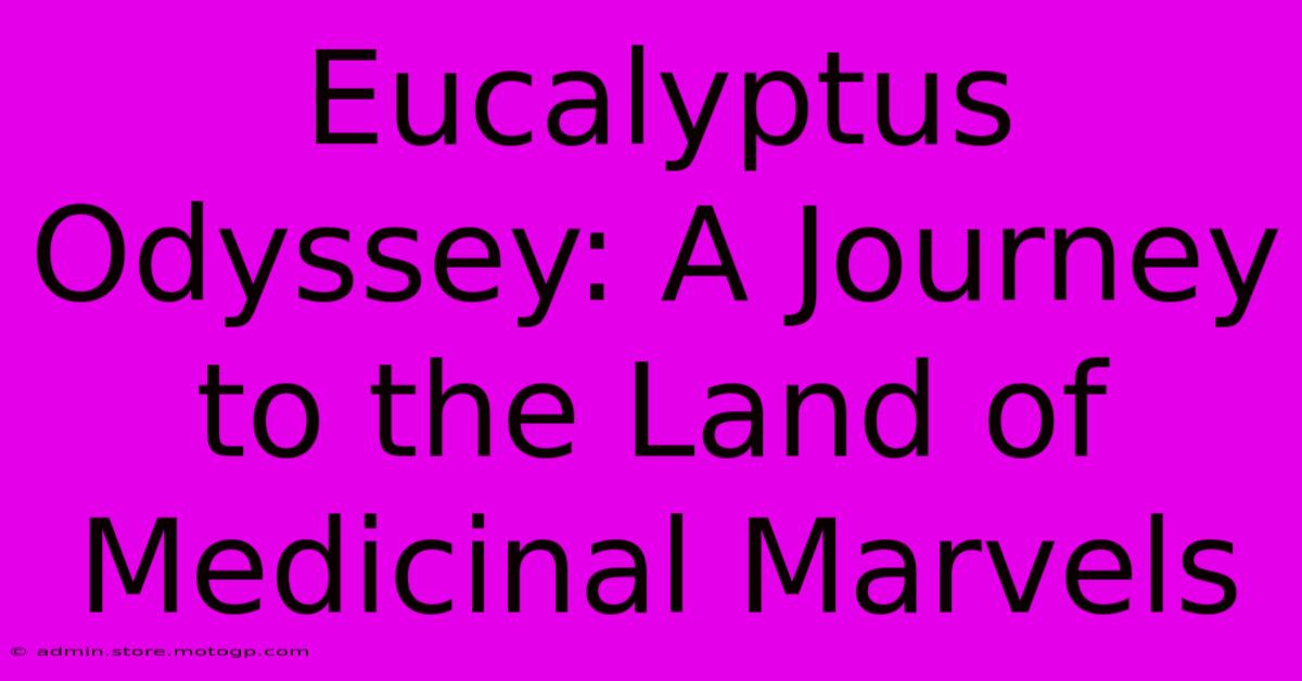 Eucalyptus Odyssey: A Journey To The Land Of Medicinal Marvels