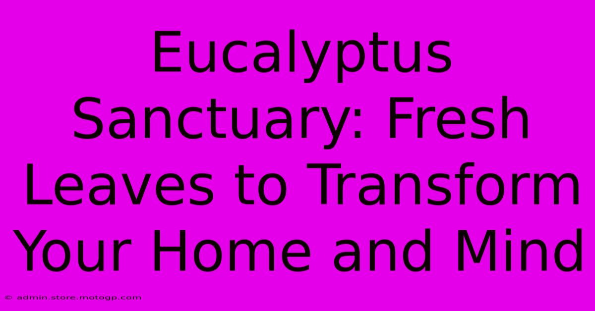 Eucalyptus Sanctuary: Fresh Leaves To Transform Your Home And Mind