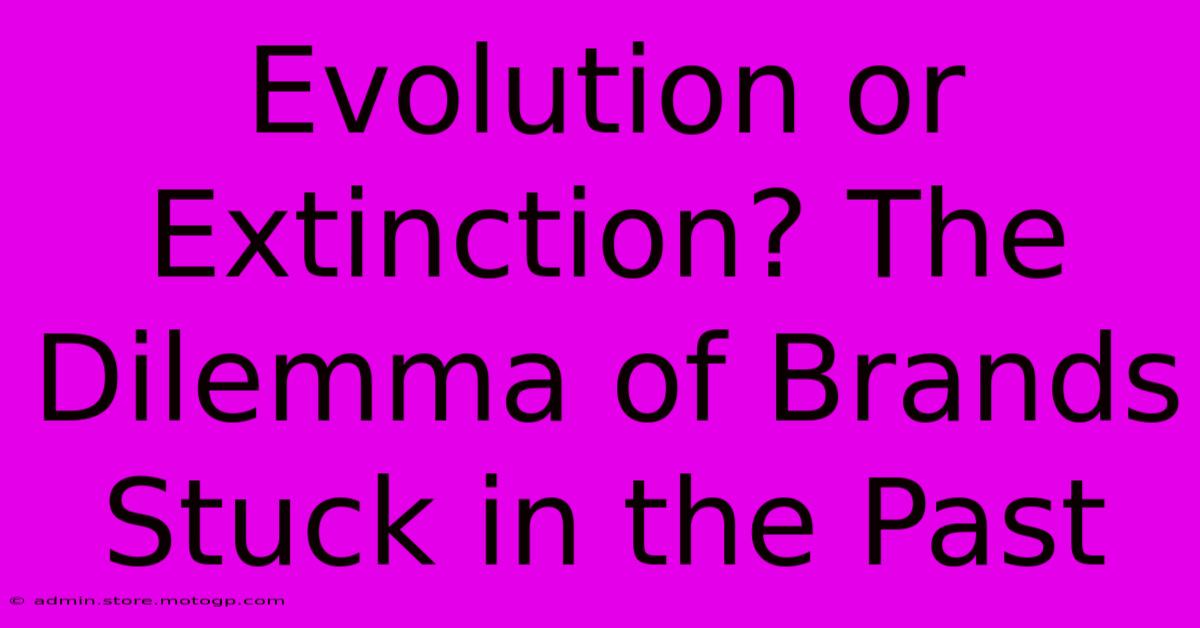 Evolution Or Extinction? The Dilemma Of Brands Stuck In The Past