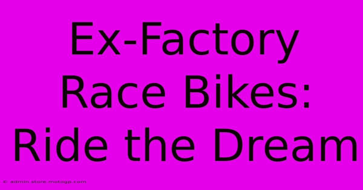 Ex-Factory Race Bikes: Ride The Dream