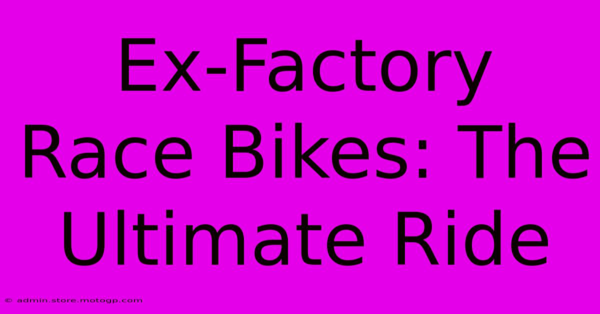 Ex-Factory Race Bikes: The Ultimate Ride