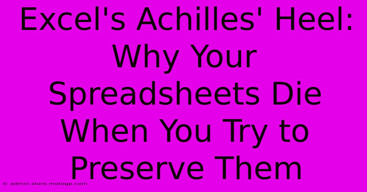 Excel's Achilles' Heel: Why Your Spreadsheets Die When You Try To Preserve Them