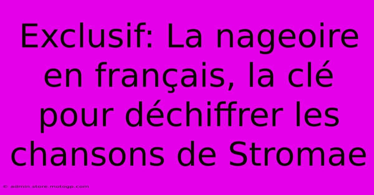 Exclusif: La Nageoire En Français, La Clé Pour Déchiffrer Les Chansons De Stromae