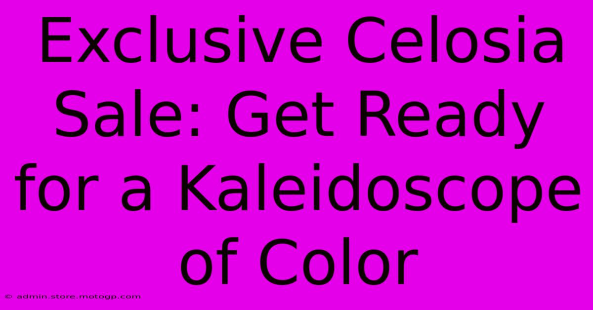 Exclusive Celosia Sale: Get Ready For A Kaleidoscope Of Color