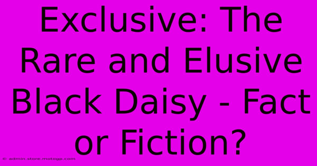 Exclusive: The Rare And Elusive Black Daisy - Fact Or Fiction?