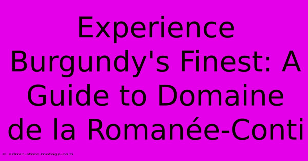 Experience Burgundy's Finest: A Guide To Domaine De La Romanée-Conti