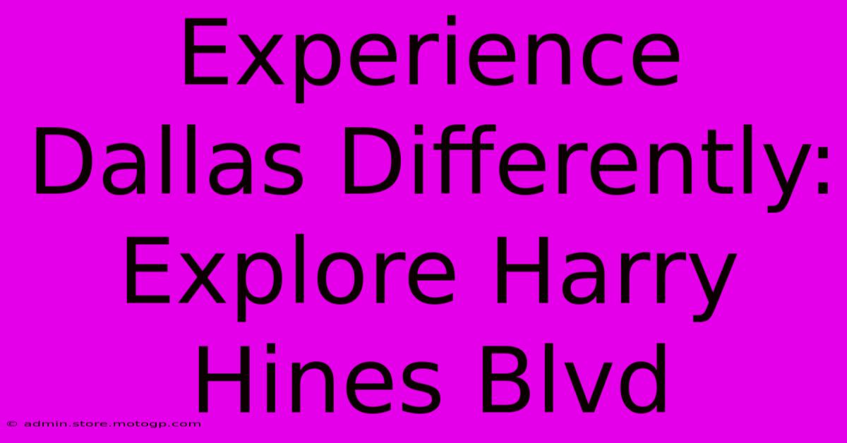 Experience Dallas Differently: Explore Harry Hines Blvd