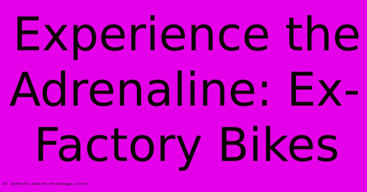 Experience The Adrenaline: Ex-Factory Bikes