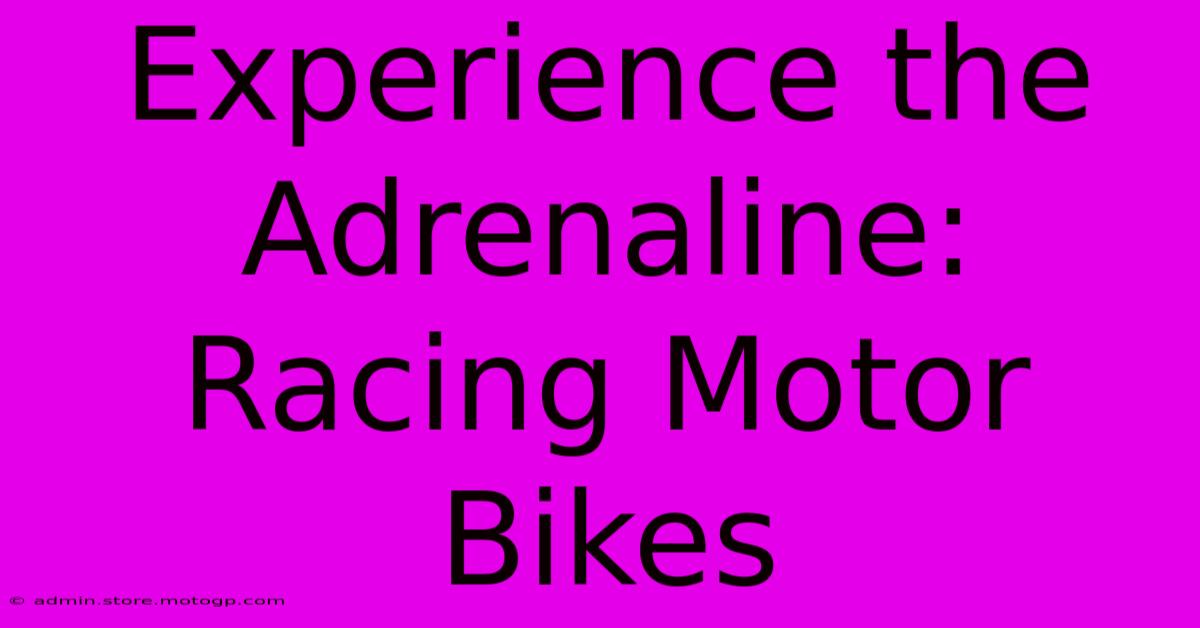 Experience The Adrenaline: Racing Motor Bikes