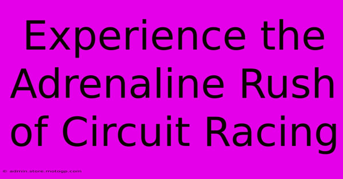 Experience The Adrenaline Rush Of Circuit Racing