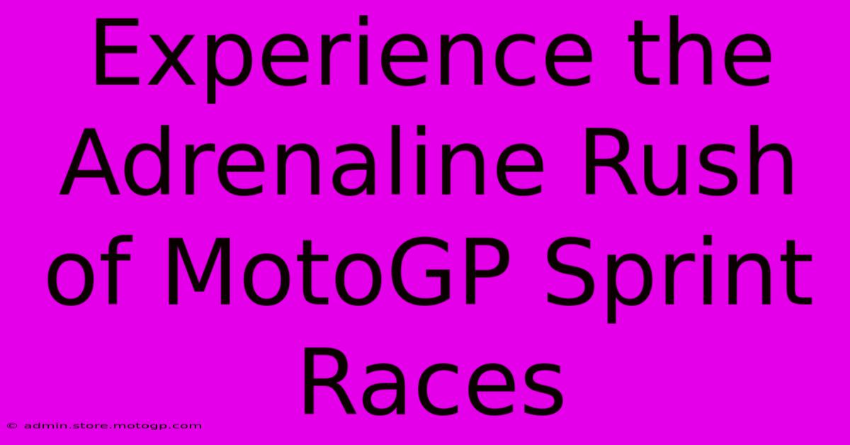 Experience The Adrenaline Rush Of MotoGP Sprint Races