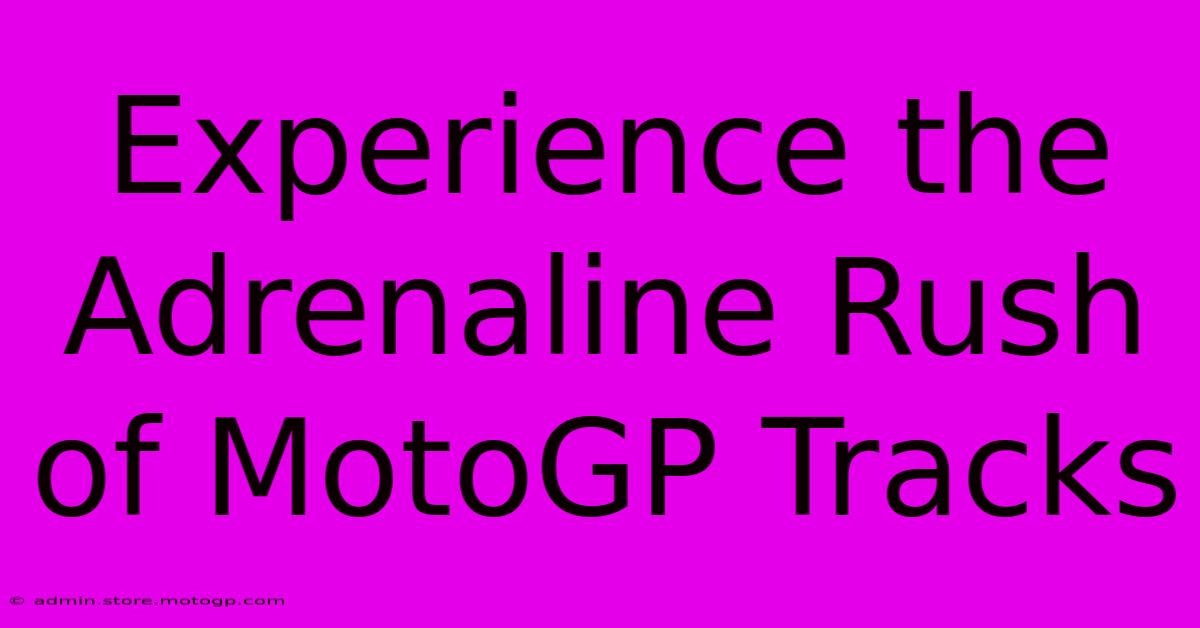 Experience The Adrenaline Rush Of MotoGP Tracks