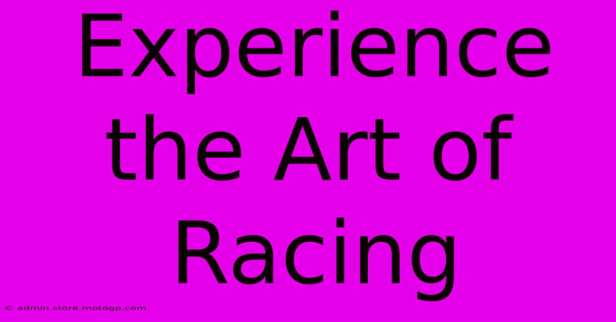 Experience The Art Of Racing