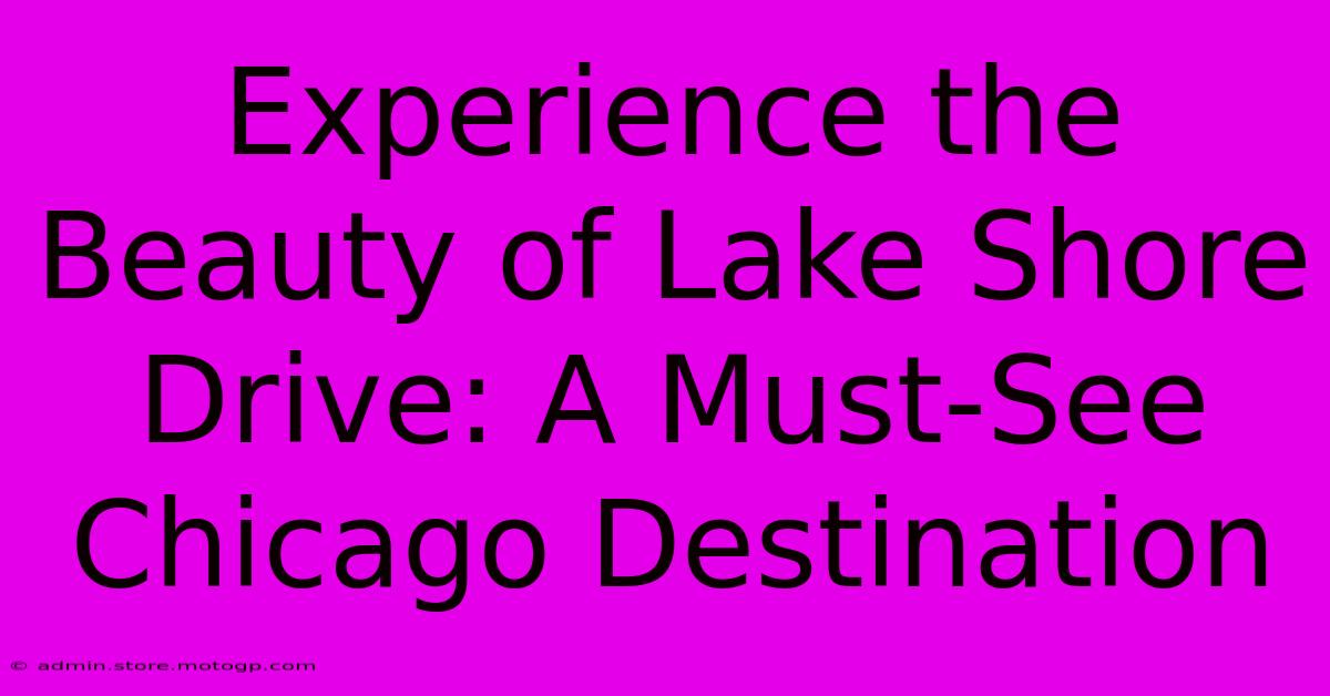 Experience The Beauty Of Lake Shore Drive: A Must-See Chicago Destination