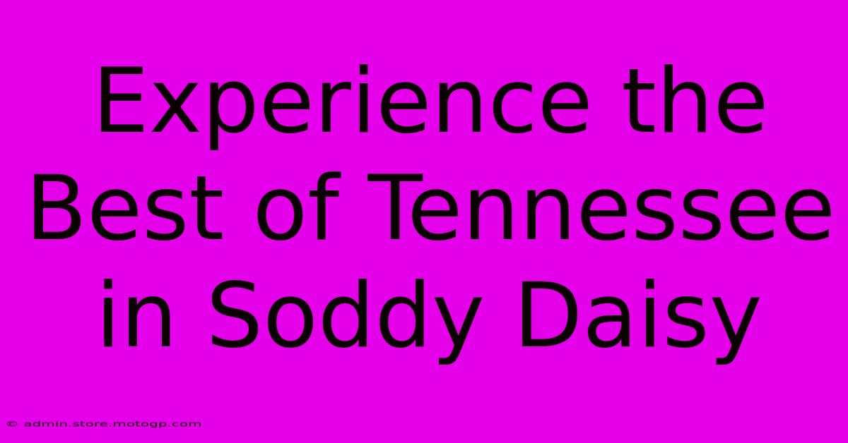 Experience The Best Of Tennessee In Soddy Daisy