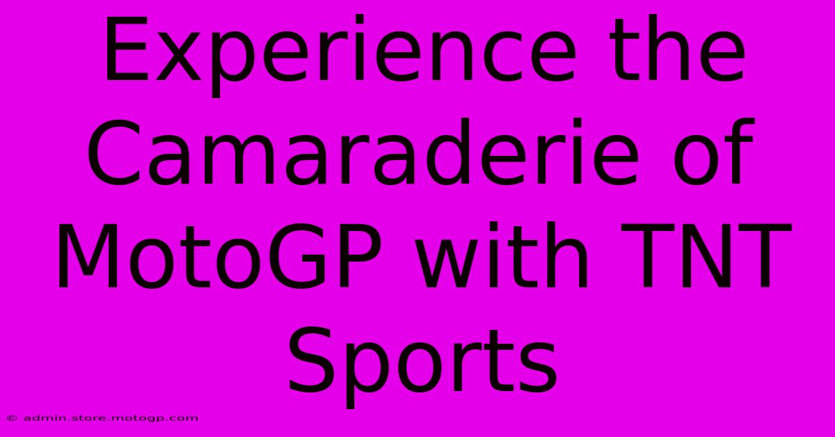 Experience The Camaraderie Of MotoGP With TNT Sports