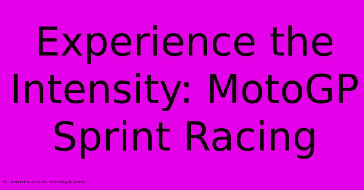 Experience The Intensity: MotoGP Sprint Racing