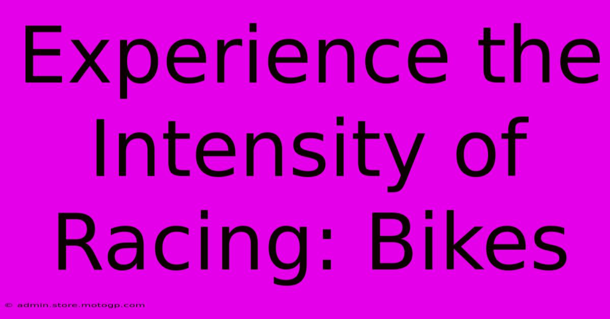 Experience The Intensity Of Racing: Bikes