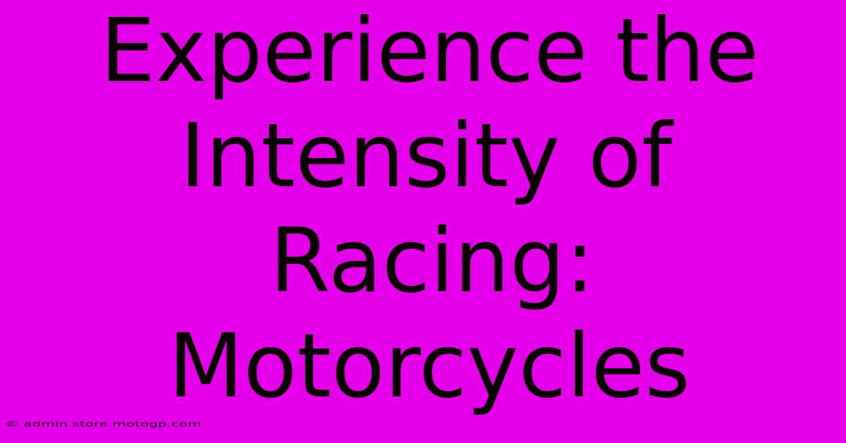 Experience The Intensity Of Racing: Motorcycles