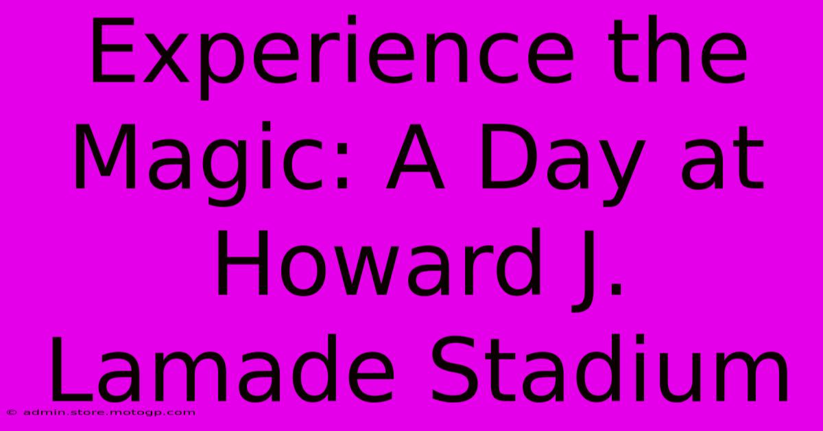 Experience The Magic: A Day At Howard J. Lamade Stadium