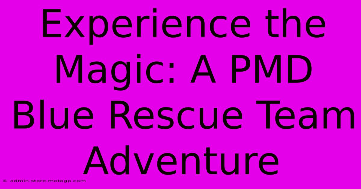 Experience The Magic: A PMD Blue Rescue Team Adventure