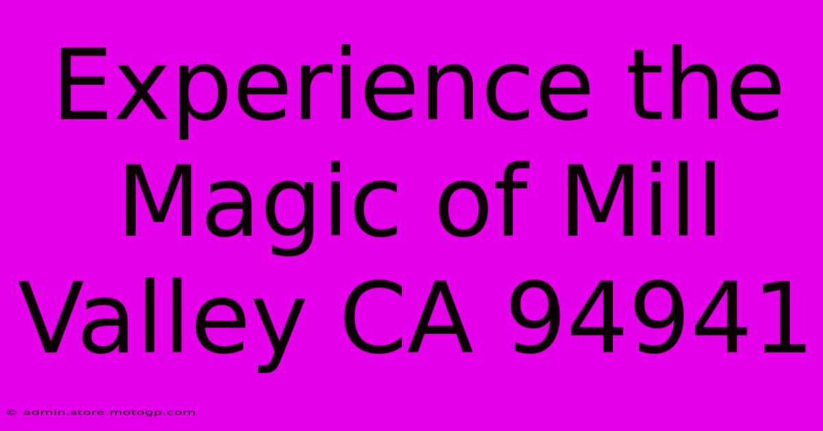 Experience The Magic Of Mill Valley CA 94941