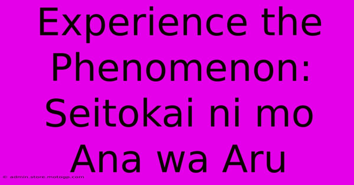 Experience The Phenomenon: Seitokai Ni Mo Ana Wa Aru