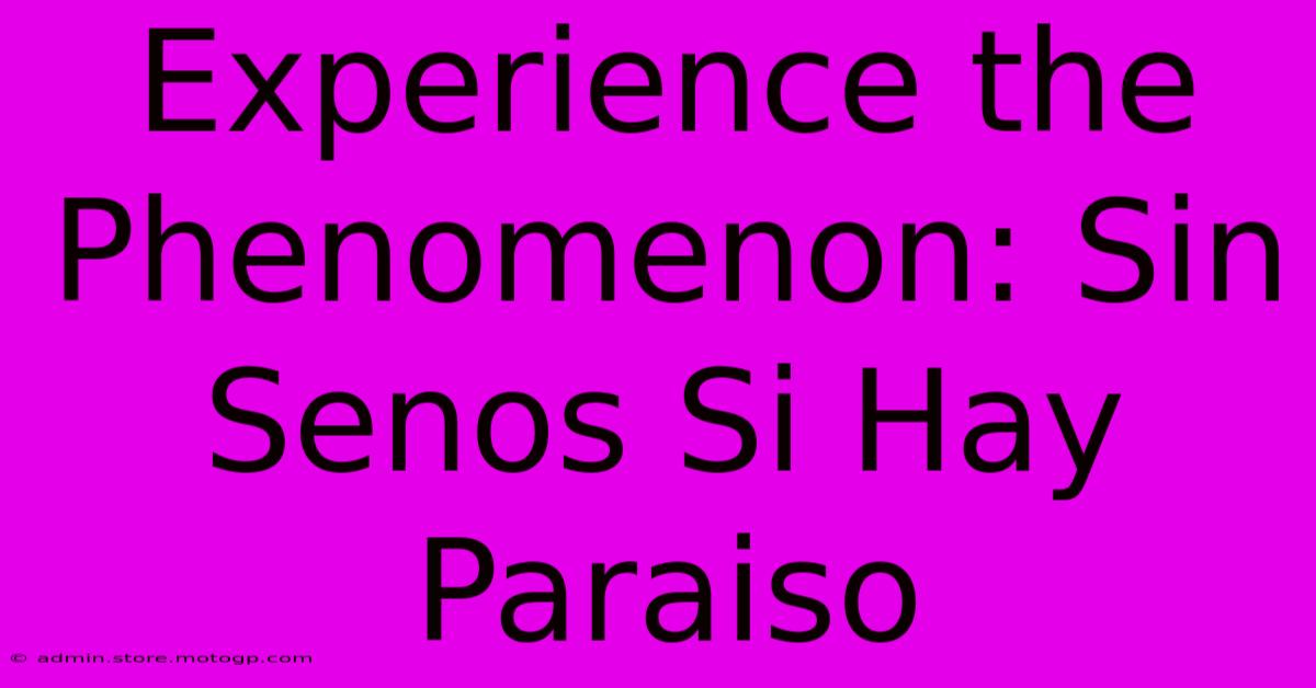 Experience The Phenomenon: Sin Senos Si Hay Paraiso