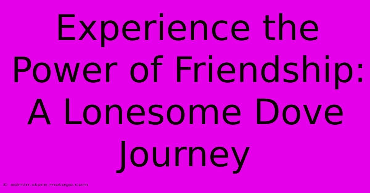 Experience The Power Of Friendship: A Lonesome Dove Journey