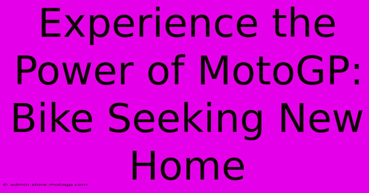 Experience The Power Of MotoGP: Bike Seeking New Home