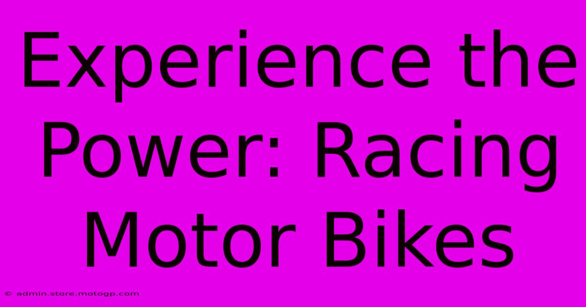 Experience The Power: Racing Motor Bikes