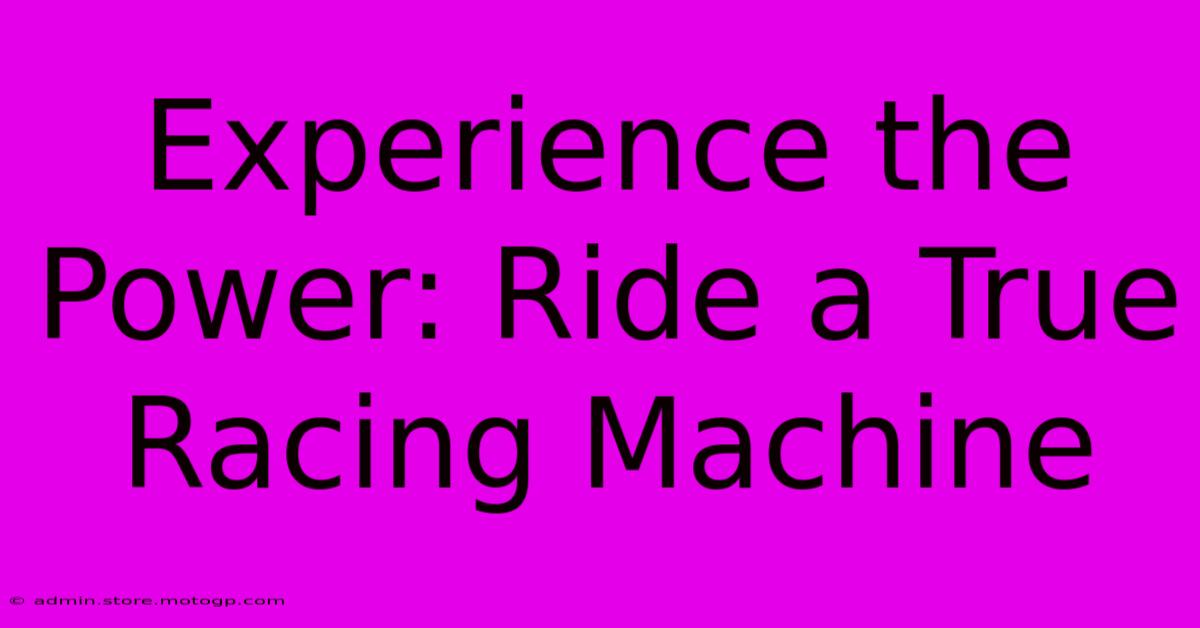 Experience The Power: Ride A True Racing Machine