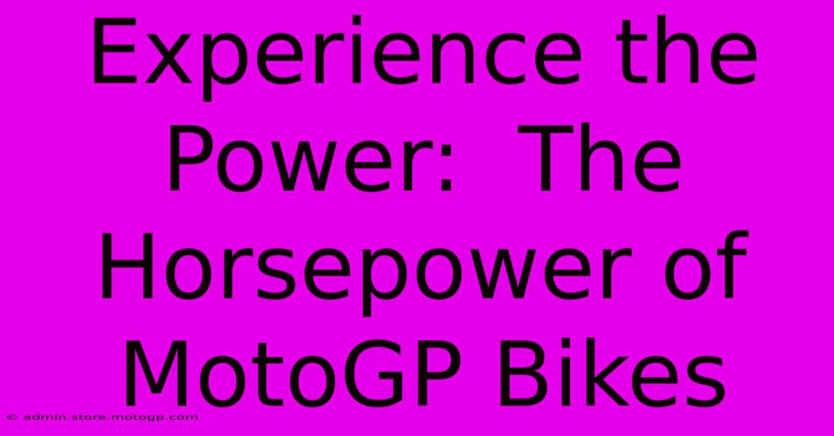 Experience The Power:  The Horsepower Of MotoGP Bikes