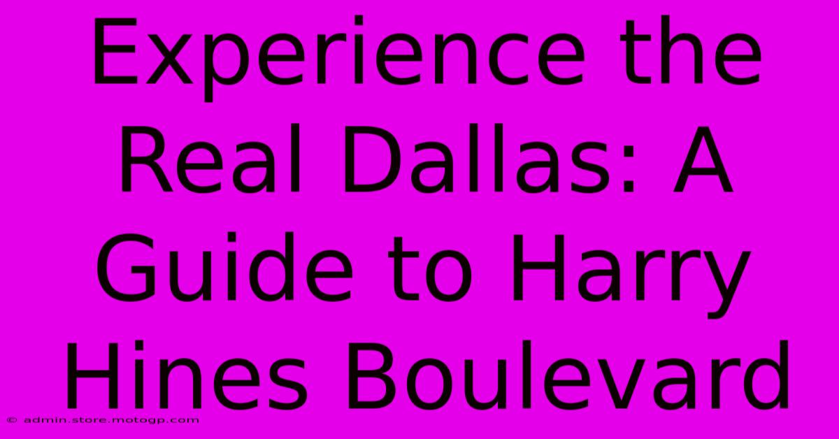 Experience The Real Dallas: A Guide To Harry Hines Boulevard